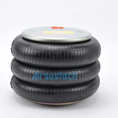 Αεροπηγές Firestone W01-358-8010 Συμπλεγμένες σακούλες με 1/4NPT γεμάτες αέριο