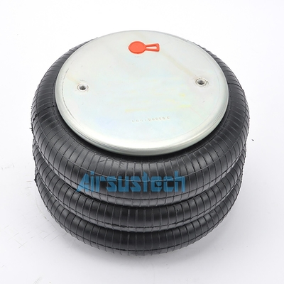 Αεροπηγές Firestone W01-358-8010 Συμπλεγμένες σακούλες με 1/4NPT γεμάτες αέριο