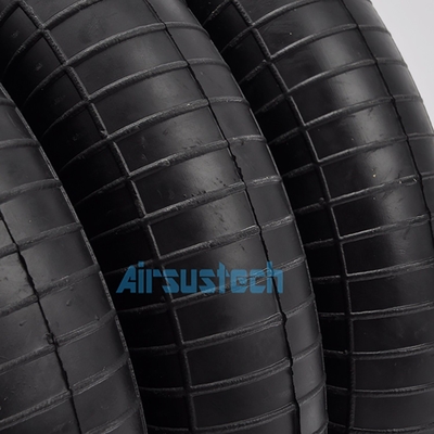 Αεροπηγές Firestone W01-358-8010 Συμπλεγμένες σακούλες με 1/4NPT γεμάτες αέριο