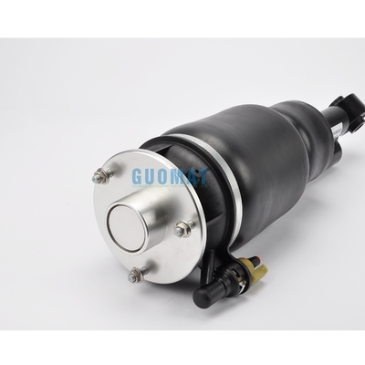6L1Z18A099DA Πίσω αριστερά Lincoln Navigator II Αεροεξάρτηση Απορροφητής κρούσης με δεξαμενή