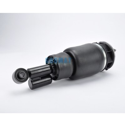 6L1Z18A099DA Πίσω αριστερά Lincoln Navigator II Αεροεξάρτηση Απορροφητής κρούσης με δεξαμενή