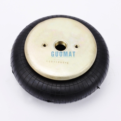 Μοναδικό σχηματισμένο στυλ Goodyear 1B9-202 Καουτσούκ