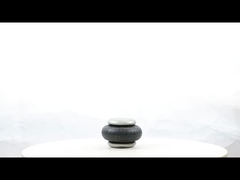 Αντικαταστήστε την ενιαία περιστρεφόμενη FS 40-6 βιομηχανική αερόλυση