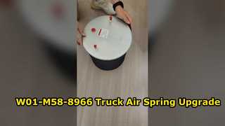 Ανταλλακτικό ελατηρίου αέρα φορτηγού Firestone W01-M58-8966